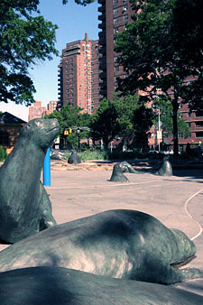 Seals at East River Park